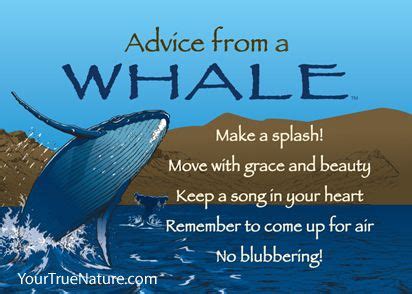 advice from a whale